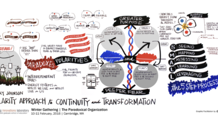 Polarity Mapping with Barry Johnson